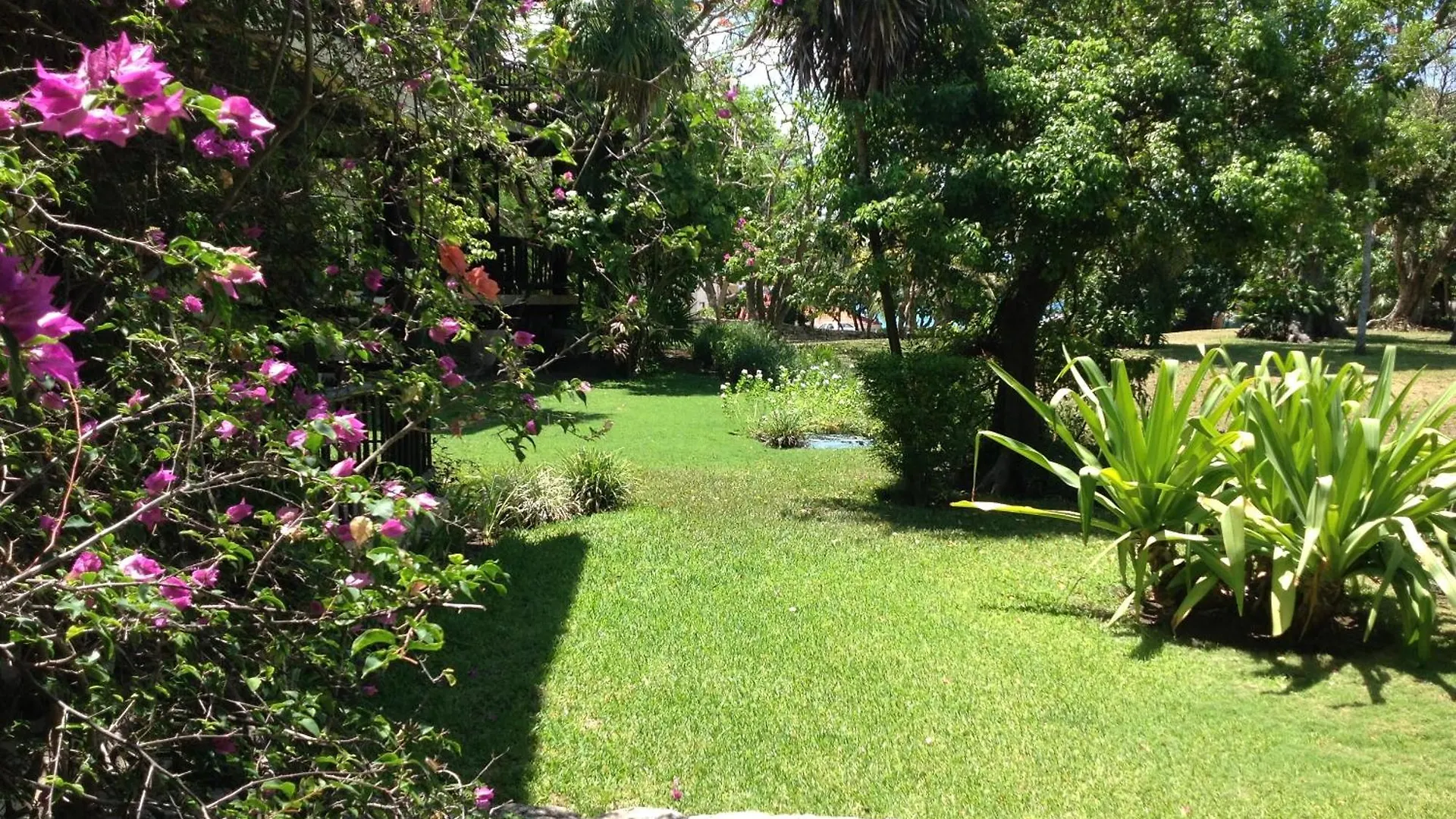 Casa Armonia Apartment Playa del Carmen